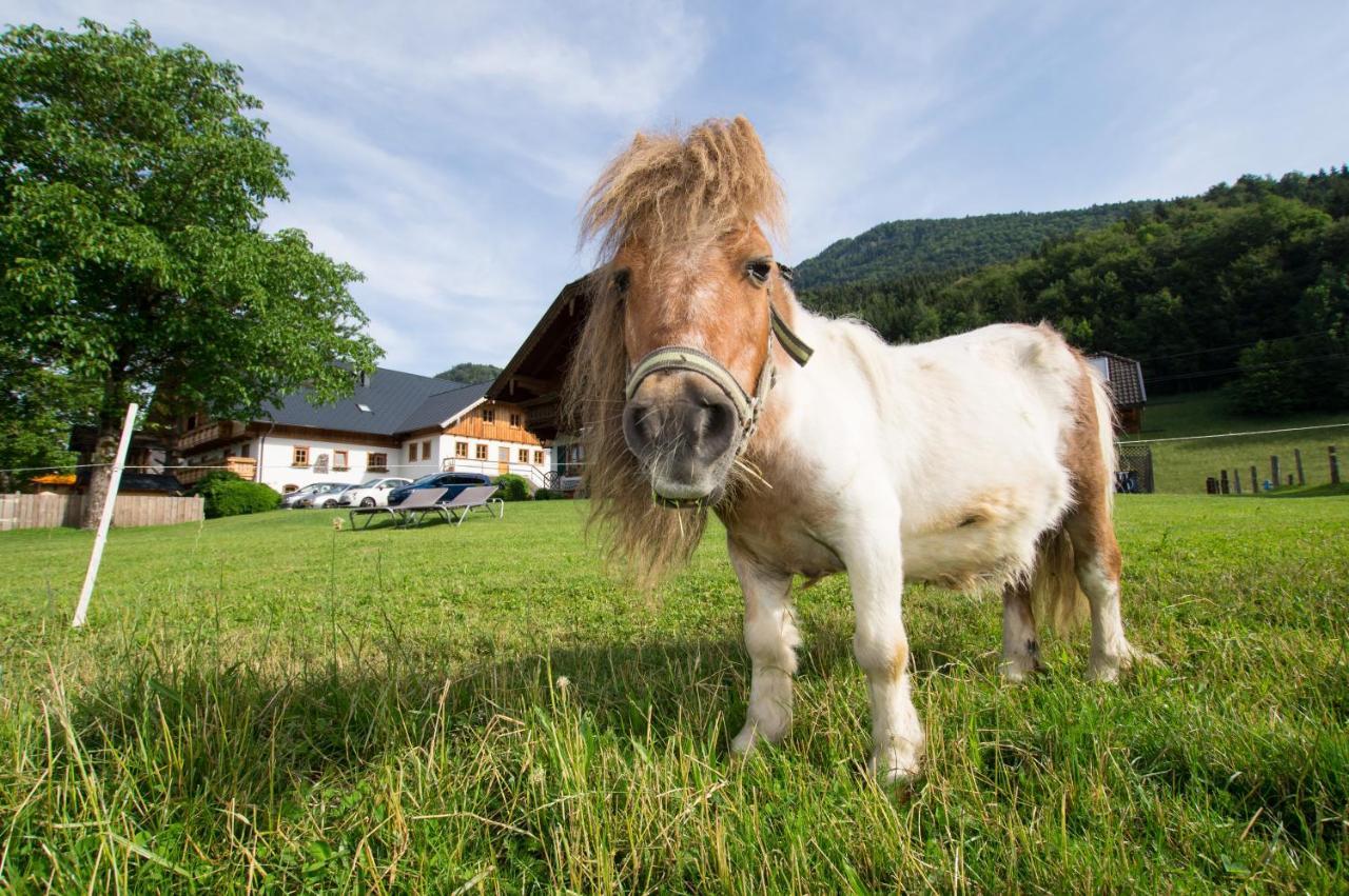 Saint Wolfgang Hauslhof B&B 외부 사진